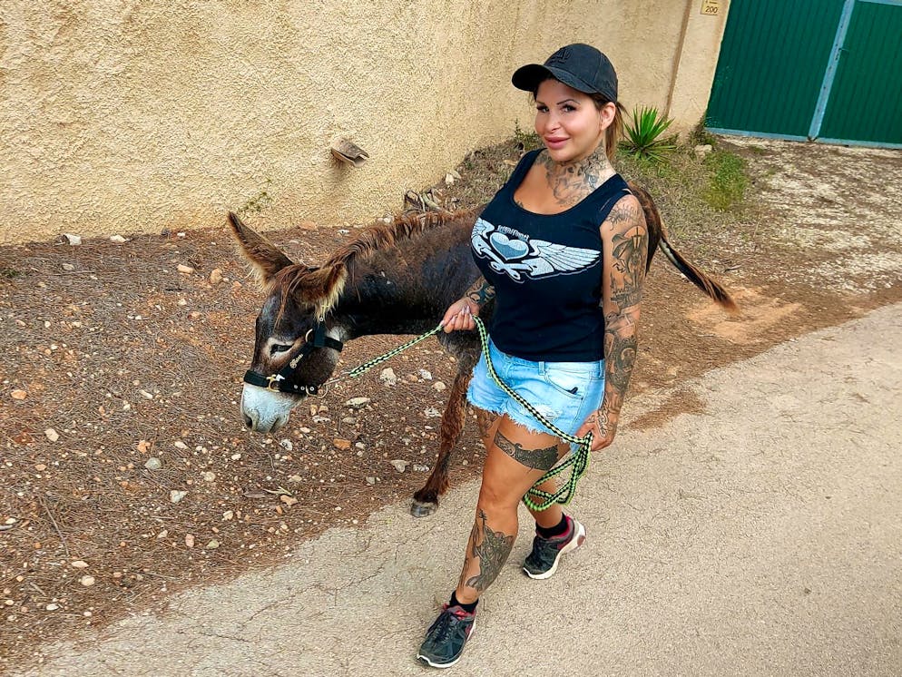 Die Schweizer Pornostar Aviva Rocks hat im vergangenen Jahr in Spanien einen Gnadenhof gegründet.
