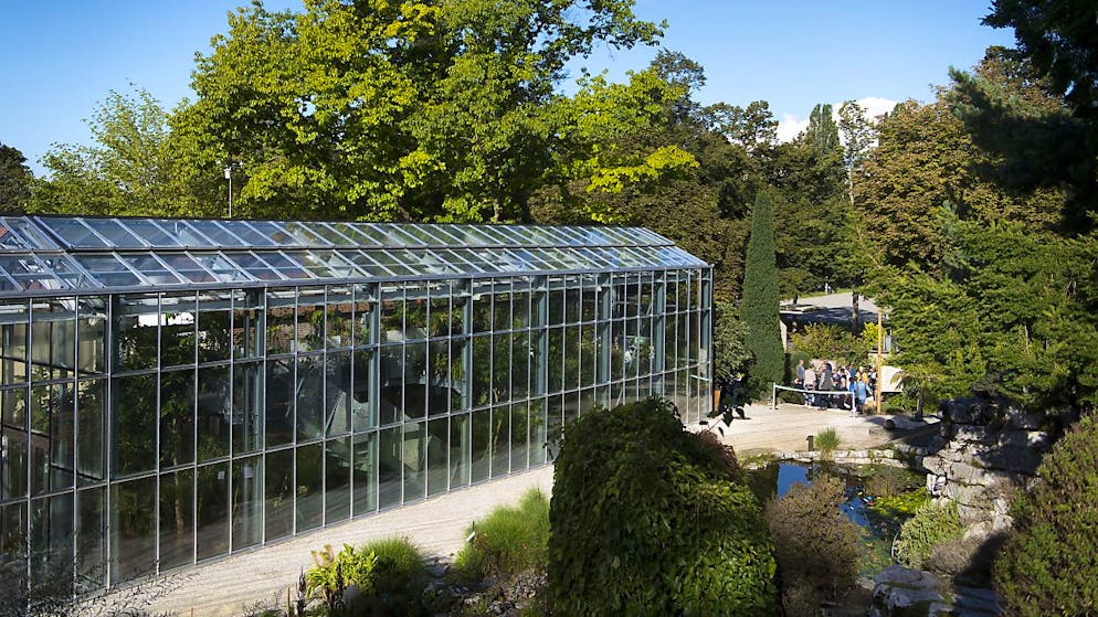 Une visite guidée du Jardin botanique précédera chaque projection (archives).