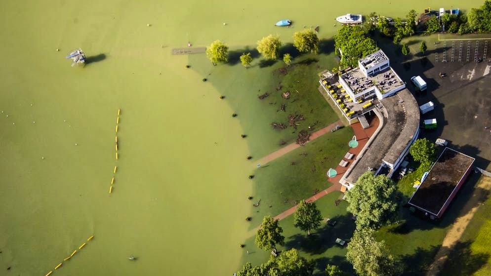 Anche il livello dell'acqua del lago di Bienne ha raggiunto un livello critico la settimana scorsa.