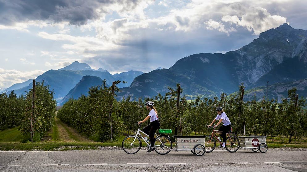 Les cyclistes-projectionnistes transportent le matériel dans deux remorques (archives de 2019).
