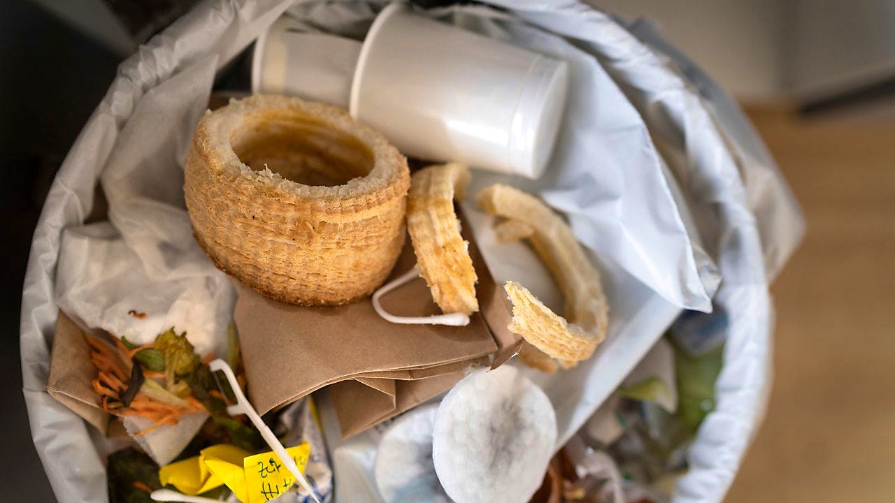 Riduzione CO2: Raccomandazioni WWF E Foodwaste.ch Contro Lo Spreco ...