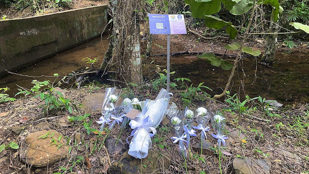 Die Schweizerin wurde bei einem Wasserfall auf Phuket tot aufgefunden. Sie war laut Polizei offenbar vergewaltigt und ermordet worden. (Archivbild)