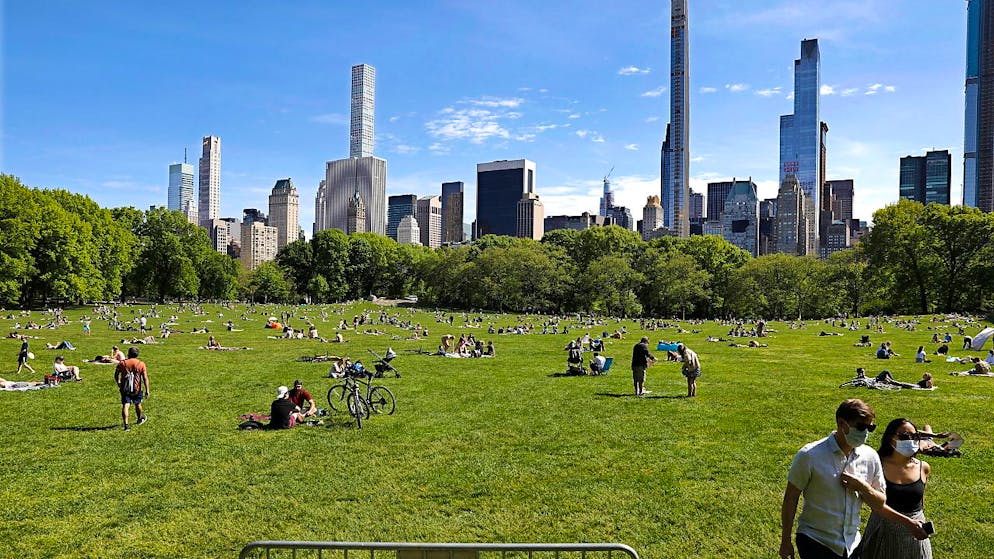 Il gufo era amato da molti newyorkesi.