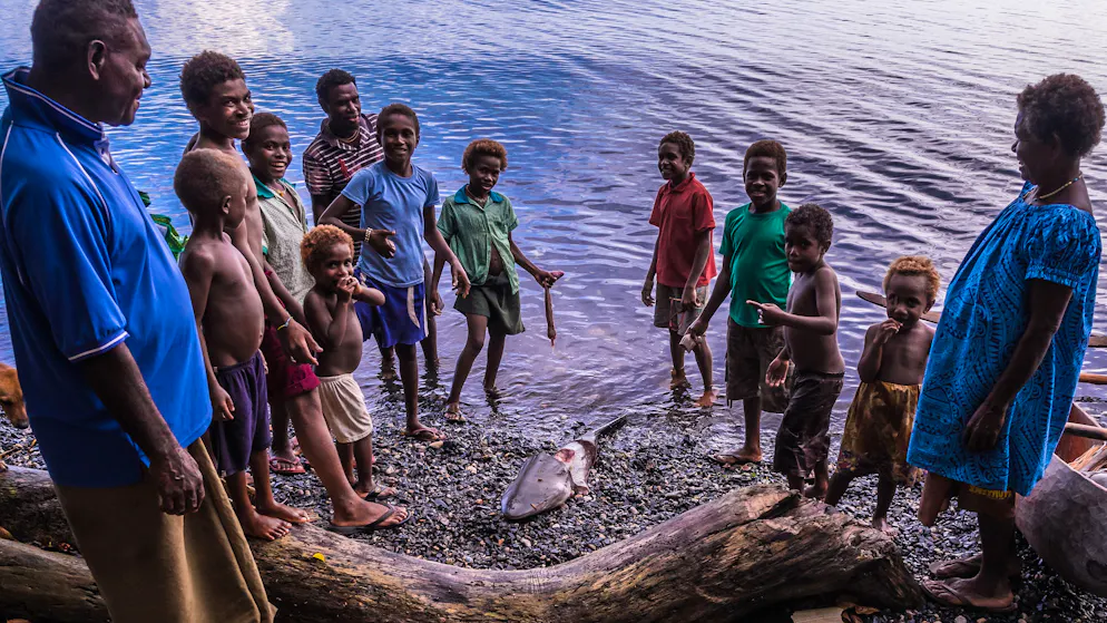 Uralte Tradition. Sie fangen Haie mit blosser Hand