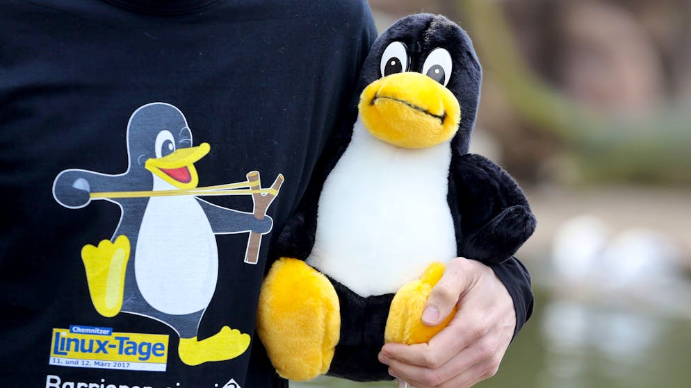 The penguin is the mascot of Linux