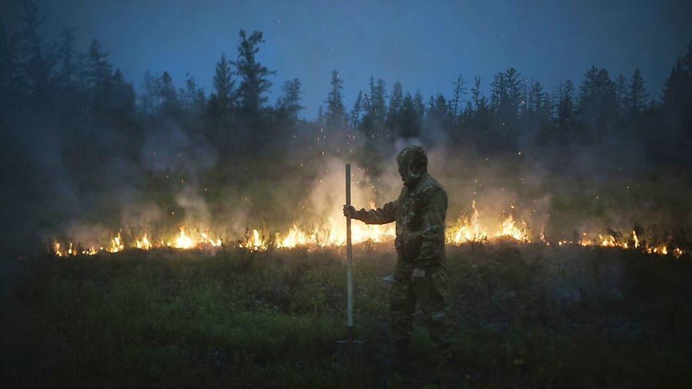Les écologistes mettent en cause la politique russe de lutte contre les feux de forêt. Notamment un décret gouvernemental de 2015 permettant aux autorités locales d'ignorer des incendies si le coût pour les éteindre dépasse les dommages estimés.