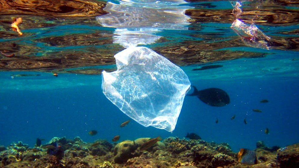 L'accord prendrait aussi en compte les microplastiques (une source de pollution dont l'ampleur commence seulement à être mesurée) et ferait la promotion d'une économie circulaire englobant l'ensemble du cycle de ces produits.