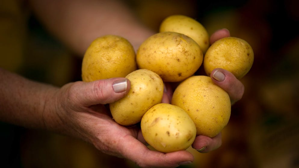 Per casa, giardino e bellezza. Ecco perché non buttare via l'acqua delle patate, elisir dai mille usi
