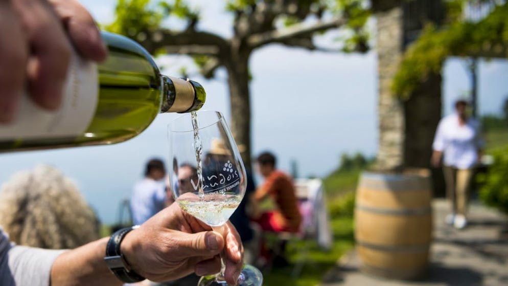 Le principe était simple cette année. Il s'agissait d'acheter un verre de vin de dégustation pour 15 francs chez le premier vigneron visité et de recevoir un bracelet "Caves ouvertes" donnant accès à toutes les 180 caves participantes (archives).