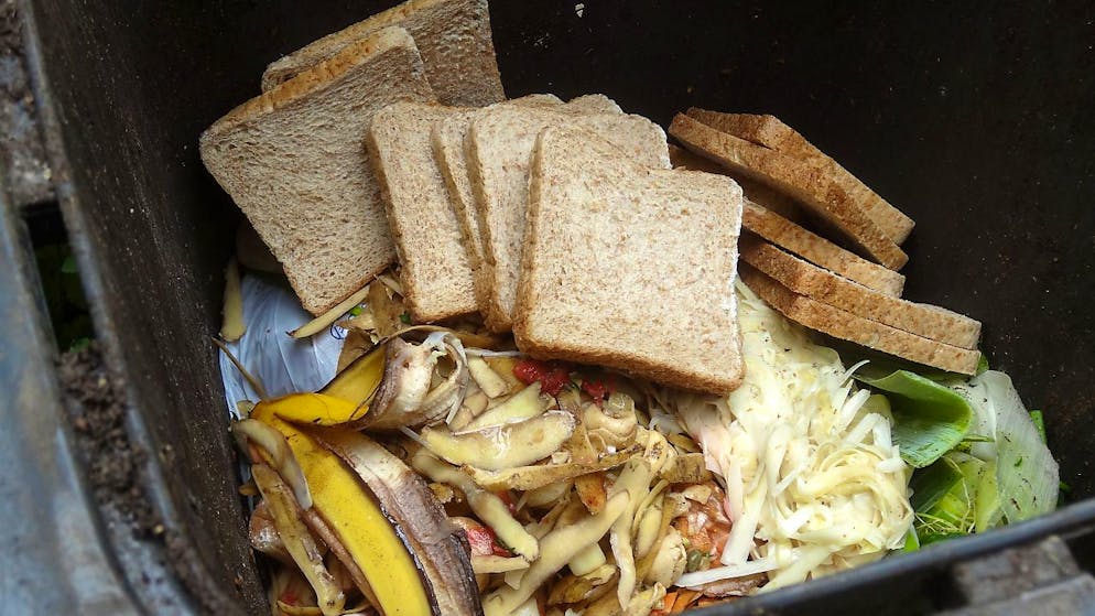 Ben 150 rappresentanti di 49 paesi, aziende e ONG si sono riuniti per combattere il "Food Waste".