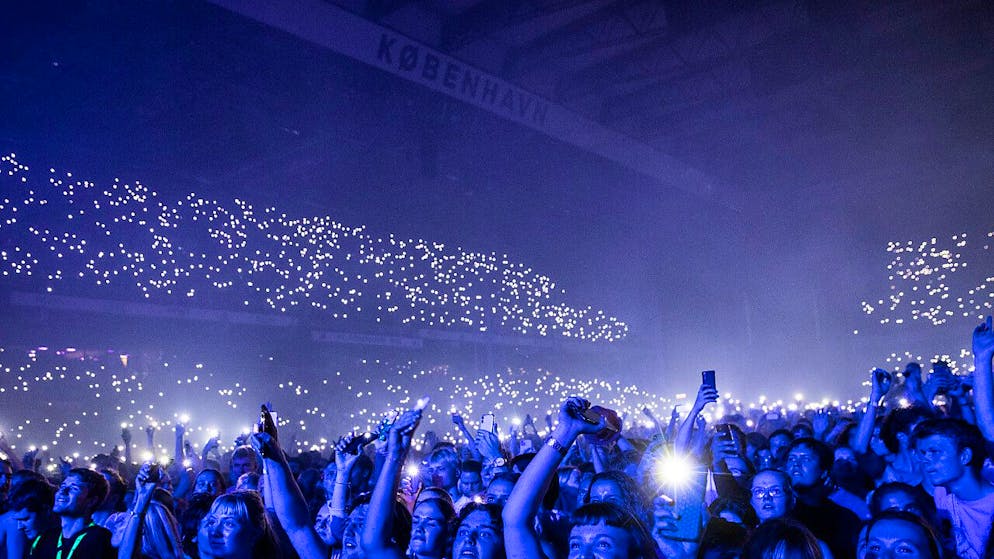 Corona-Spürhunde könnten grosse Konzert in Zukunft sicherer machen. (Symbolbild)