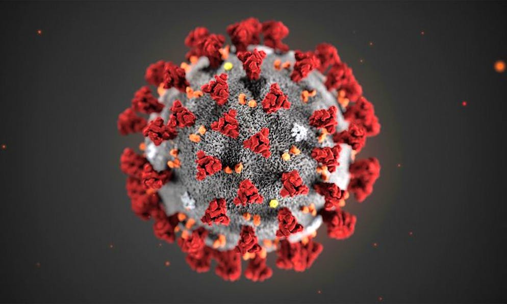 Diese von den Centers for Disease Control and Prevention (CDC) im Januar 2020 zur Verfügung gestellte Illustration zeigt das Coronavirus (2019-nCoV). Je «schöner» eine bildliche Darstellung des Coronavirus ausfällt, als desto weniger ansteckend empfinden die Betrachter das Virus.