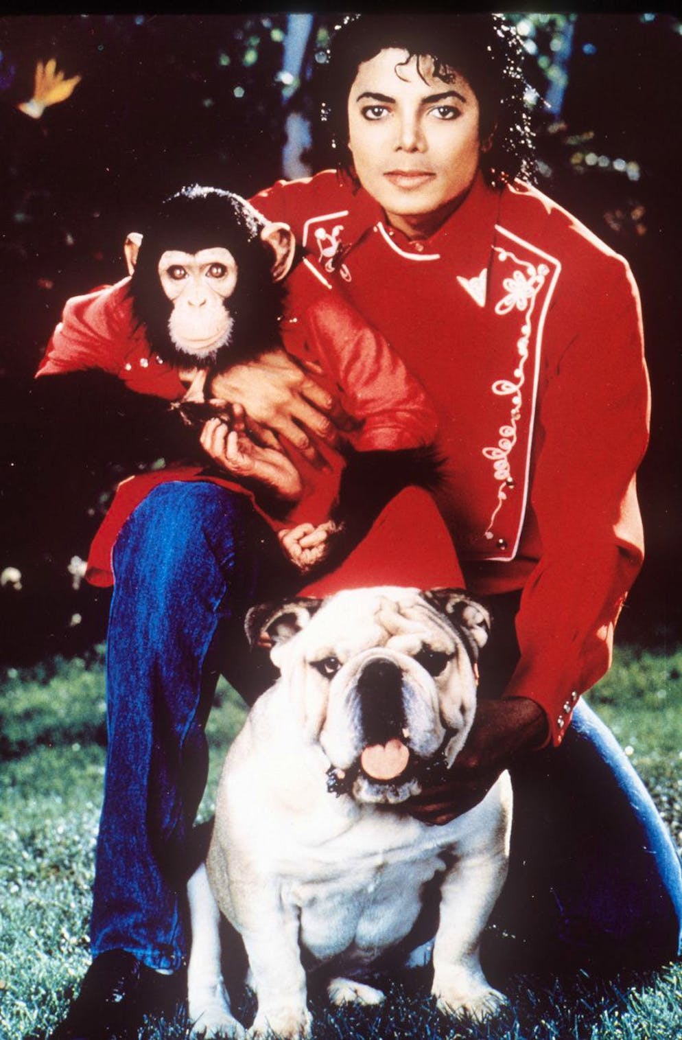 Zumindest auf dem Bild scheinen sie ein Herz und eine Seele zu sein: Michael Jackson, Schimpanse Bubbles und eine namenlose Bulldogge.