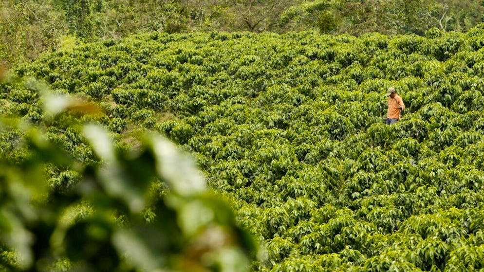 Non tutta la finanza venduta come verde è tale veramente.