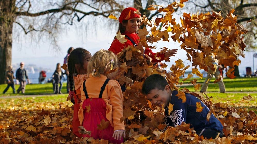 Tipp 5: Fast alles für Kinder. Wer Kinder hat, entdeckt ein neues, schier endloses Universum an Sachen, die man braucht: Rollschuhe, Skateboards, Gameboy, Regenhosen, Neoprenanzug, Schwimmflügeli, Skianzug, Velohelm und, und, und. Und alles hält maximal zwei Jahre. Warum sich Secondhand hier lohnt, liegt wohl auf der Hand.