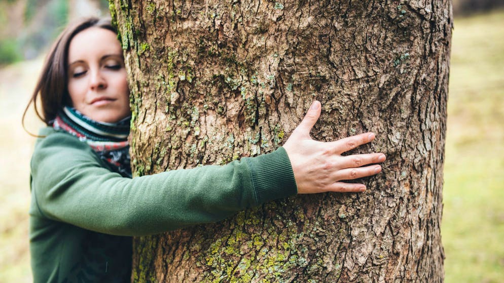 Kolumne. Nimm einen Baum in den Arm – er bleibt in deinem Herzen