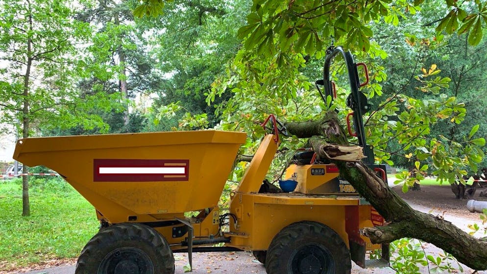 Der 49-jährige Lenker eines Baufahrzeugs ist im Schützenmattpark von einem herunterfallenden Ast schwer verletzt worden.