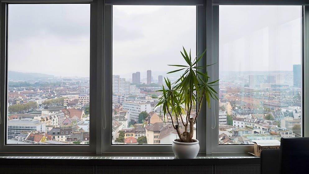 Freiwillig auf einen Teil des Lohns verzichten, um der Stadtkasse zu helfen? Stadtrat Daniel Leupi will für solche Einzelfälle nicht das IT-System umprogrammieren. Blick aus dem Werd-Hochhaus. (Symbolbild)