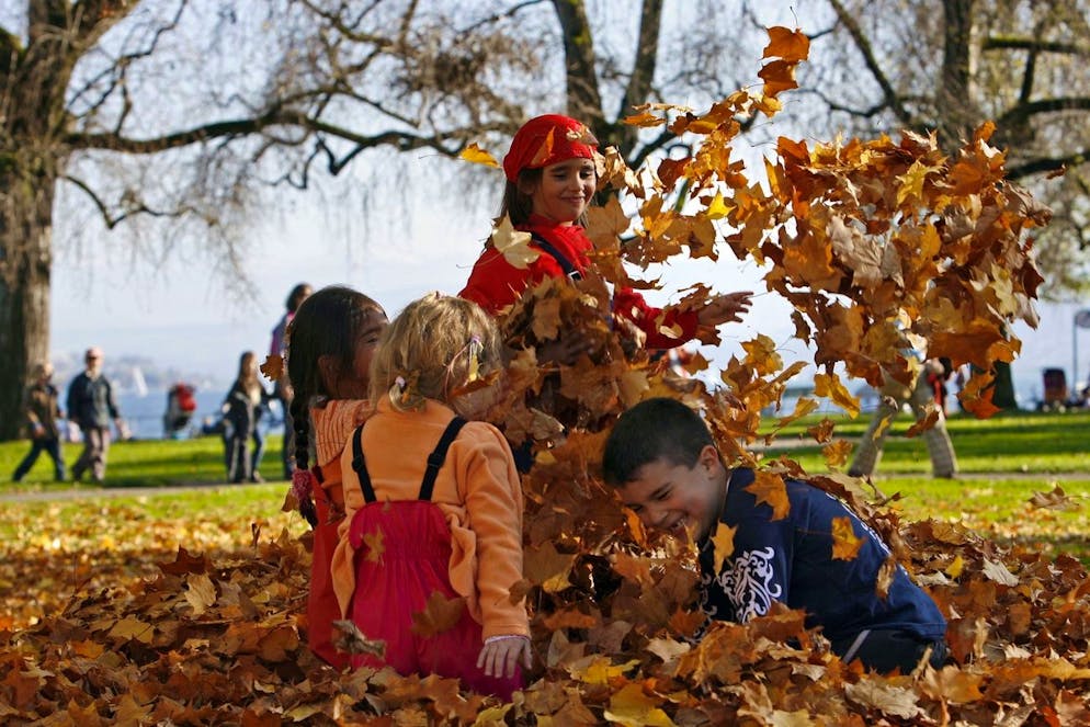 Conseil 5 : Presque tout pour les enfants. Quand on a des enfants, on découvre un univers infini de choses dont on a besoin : patins à roulettes, skateboards, Gameboy, pantalon de pluie, combinaison en néoprène, brassards de natation, combinaison de ski, casque de vélo, etc. Et tout cela a une durée de vie maximale de deux ans. Il est clair que les articles de seconde main en valent la peine ici.