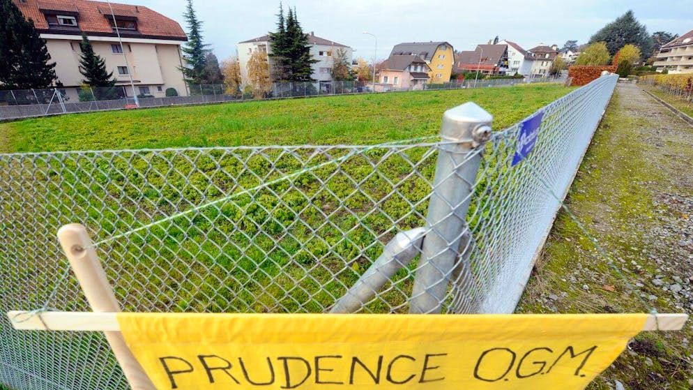 Il tema degli OGM in agricoltura divide ancora gli animi in Svizzera.