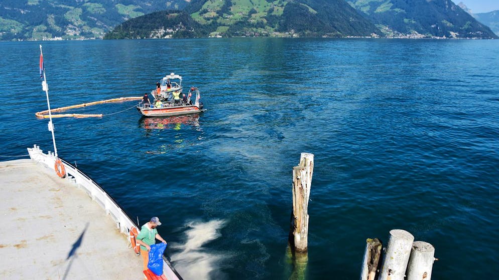 Der Ölteppich im Vierwaldstättersee vor Beckenried machte eine Ölsperre nötig.