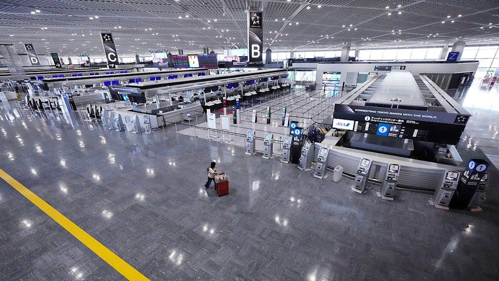 L'aeroporto di Tokyo è rimasto bloccato per qualche minuto a causa di una tartaruga. Immagine d'archivio.