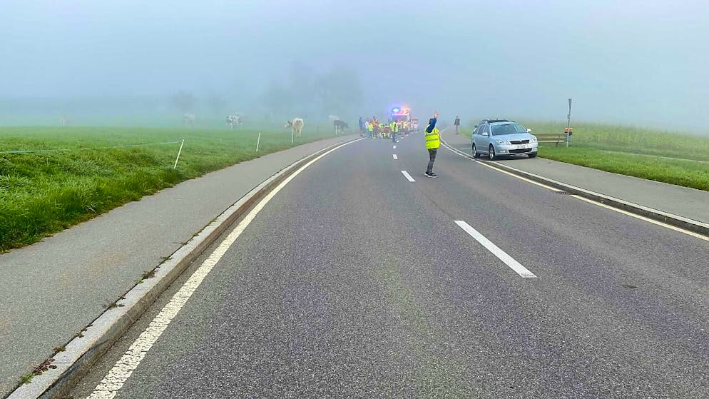 Ein 6-Jähriger Bub wurde in der Gemeinde Risch Rotkreuz frontal von einem Auto erfasst, als er unvermittelt auf die Strasse sprang.