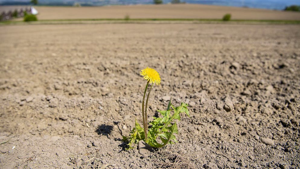 Le corps électoral bernois a accepté d'ajouter un article sur la protection du climat dans la constitution cantonale. Même si le réchauffement climatique est un problème global, il estime qu'il faut aussi agir au niveau local (photo symbolique).