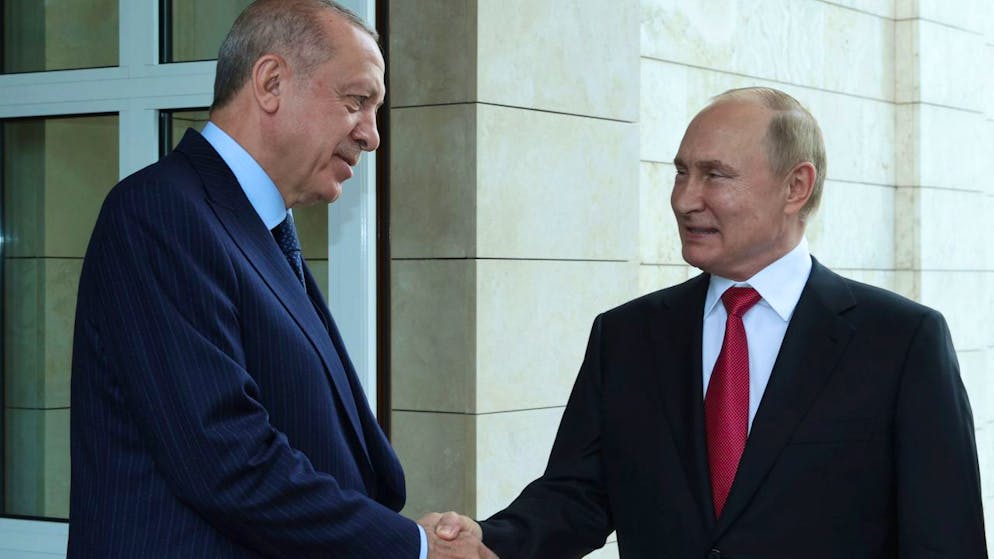 Wladimir Putin (r), Präsident von Russland, und Recep Tayyip Erdogan, Präsident der Türkei, sprechen miteinander, bevor Erdogan nach ihrem Treffen die Staatsresidenz Bocharov Ruchey verlässt. Foto: -/Turkish Presidency/AP/dpa