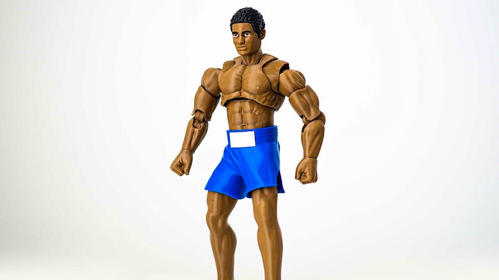 Der Kanton Zürich wird im Kunstprojekt über Brian harsch kritisiert. Trotzdem zahlt er 20'000 Franken an die Inszenierung. Im Bild eine Brian-Actionfigur aus dem Onlineshop des Kunstprojekts.