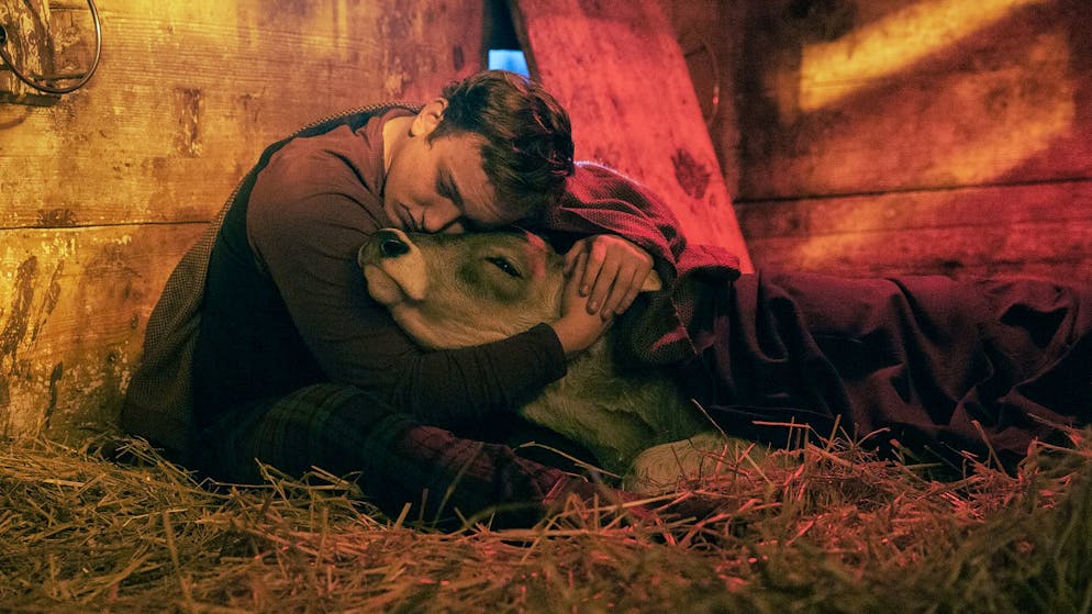 SRF-Serie «Neumatt». Koksende Städter, Kuhflüsterer und ein Hof ohne Hoffnung