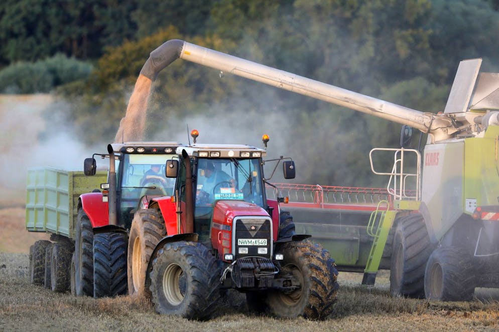 Die Bauern der Agrargenossenschaft Bobitz ernten am 23. August 2017 auf einem etwa 90 Hektar grossen Feld bei Klein Krankow, in Mecklenburg-Vorpommern, Weizen. Das nasskalte Wetter verzoegert die Ernte in Norddeutschland, die Landwirte rechnen mit deutlichen Ertragsverlusten. (KEYSTONE/DPA/zentralbild/Jens Buettner)