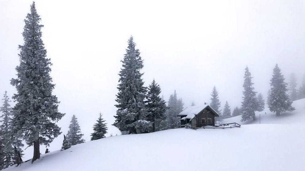 Frisch verschneite Landschaft, aufgenommen am Mittwoch, 13. Januar 2021, in Valens. (KEYSTONE/Gian Ehrenzeller)