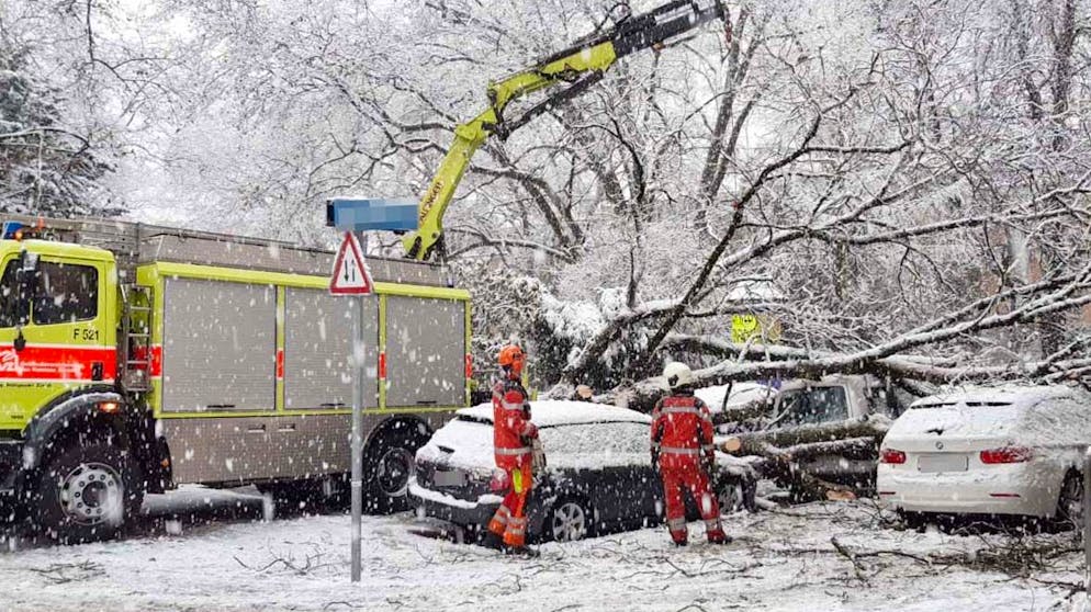 HANDOUT - Die Einsatzkraefte von Schutz und Rettung Zuerich raeumen umgestuerzte Baeume weg nach den anhaltenden Schneefaellen in Zuerich am Freitag, 15. Januar 2021. (SCHUTZ UND RETTUNG ZUERICH) *** NO SALES, DARF NUR MIT VOLLSTAENDIGER QUELLENANGABE VERWENDET WERDEN ***
