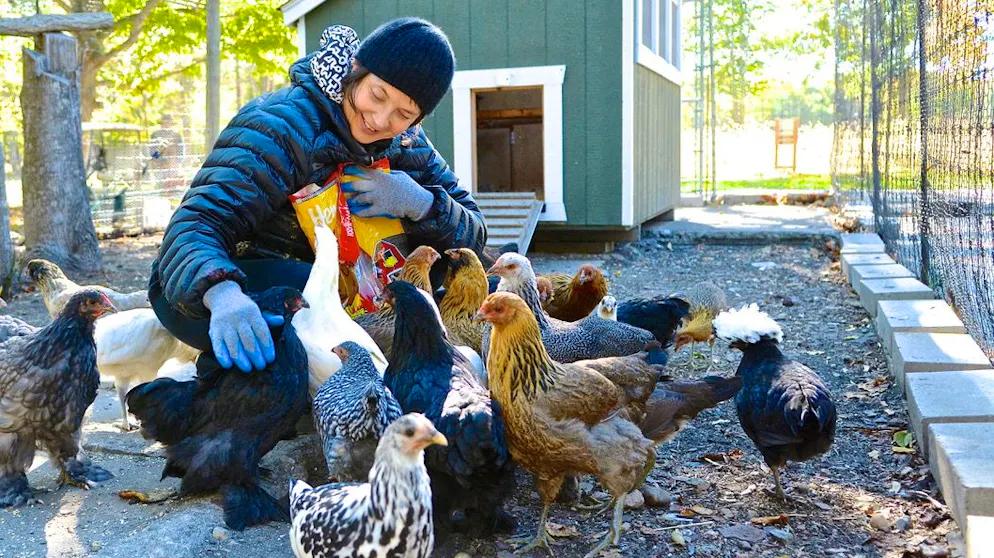 Von Hollywood zum Drehen «grüner Pornos». Auf ihrer Farm in Long Island, New York, leben unter anderem Ziegen, Schafe, Hühner, Enten, Truthähne und Bienen.