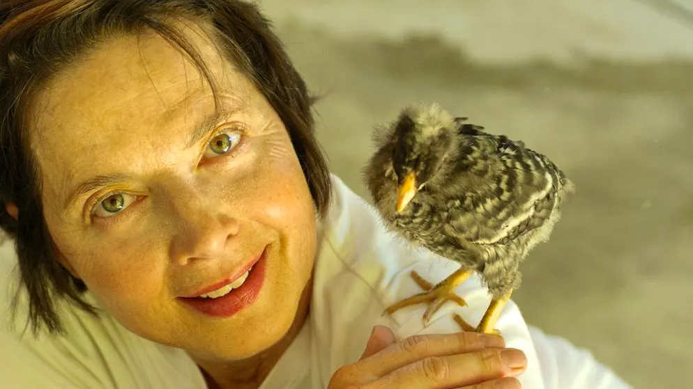 Isabella Rossellini. Von Hollywood zu «grünen Pornos»