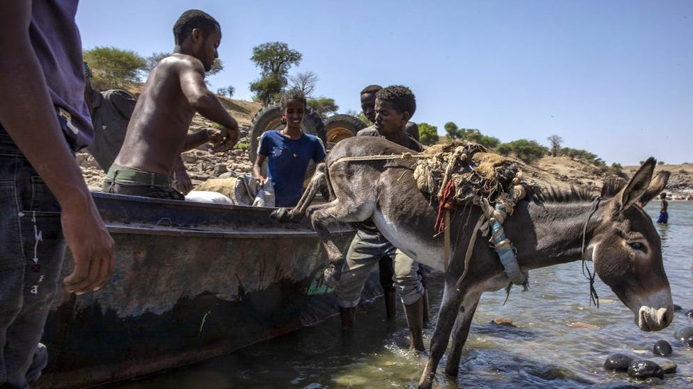 Tigray refugees who fled the conflict in the Ethiopia's Tigray arrive with their donkey on the banks of the Tekeze River on the Sudan-Ethiopia border, in Hamdayet, eastern Sudan, Saturday, Nov. 21, 2020. The U.N. refugee agency says Ethiopia's growing conflict has resulted in thousands fleeing from the Tigray region into Sudan as fighting spilled beyond Ethiopia's borders and threatened to inflame the Horn of Africa region. (AP Photo/Nariman El-Mofty)