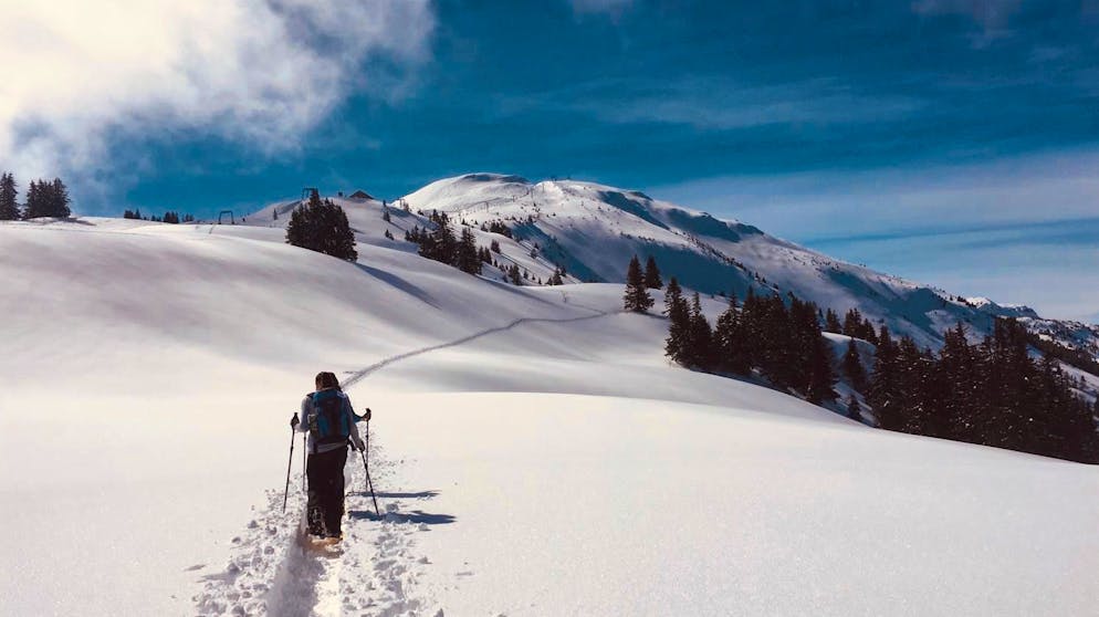 Schneeschuh Trail Brambrüesch – Feldis