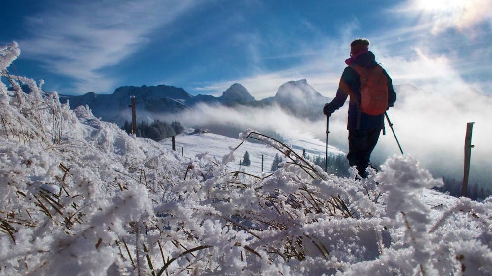 Schneeschuhtrail Obergurnigel, Naturpark Gantrisch