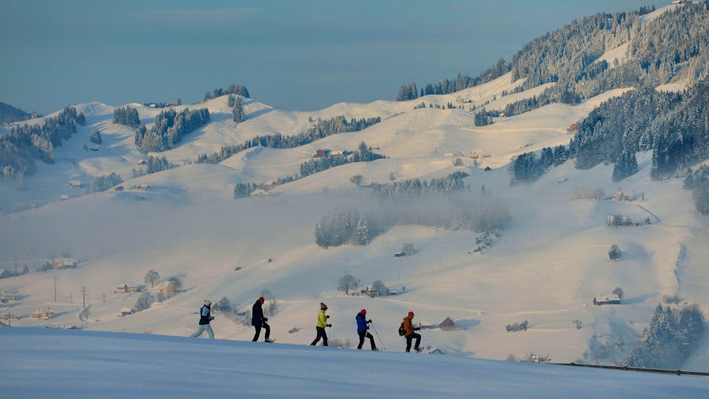 Winterleben
