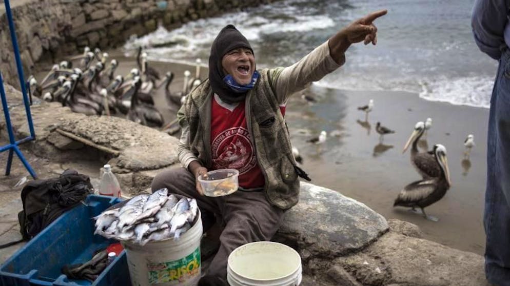 Bilder des Tages. Schnack beim Snack: Fischer Willy Rivas scherzt im peruanischen Lima mit einem Freund beim Essen in der Fischerbucht in Chorrillos. (26.1.2021)