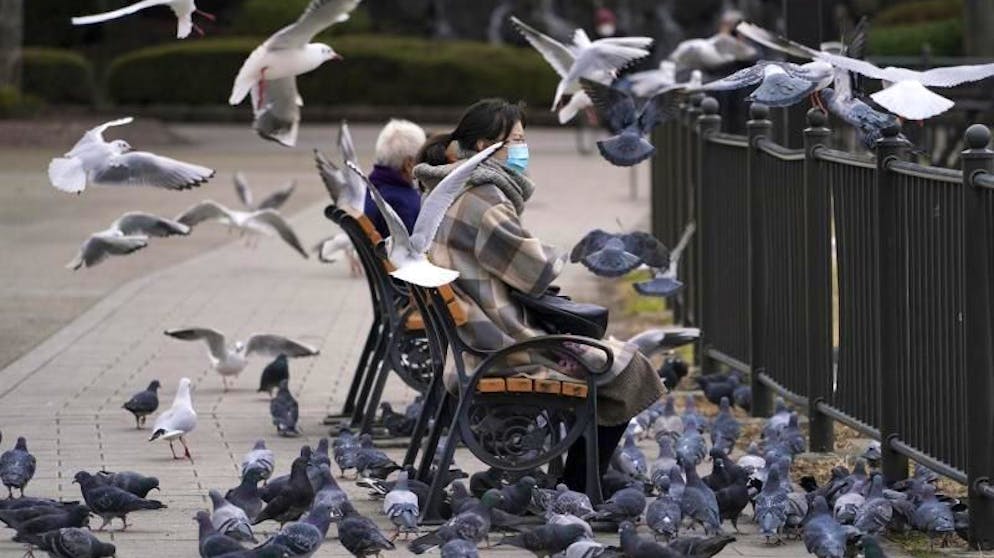 Bilder des Tages. Von Ruhe auf einer Parkbank kann hier nicht die Rede sein: Möwen und Tauben schwirren und fliegen um eine Frau in Tokio umher. (26.1.2021)