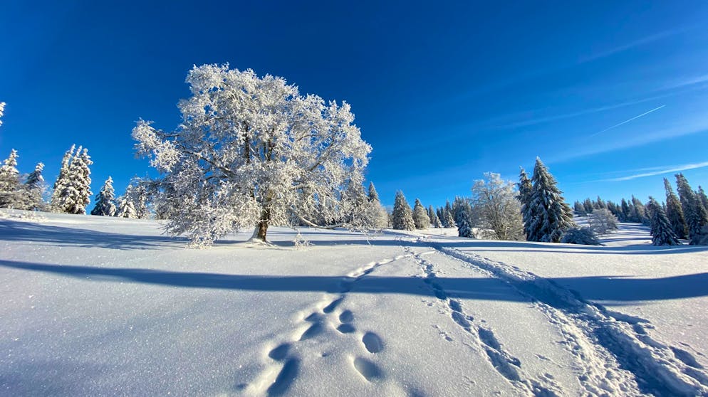 Schneeschuh Trail Mont-d'Amin