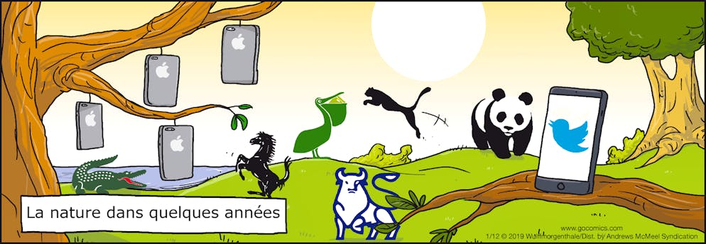 Wulff & Morgenthaler