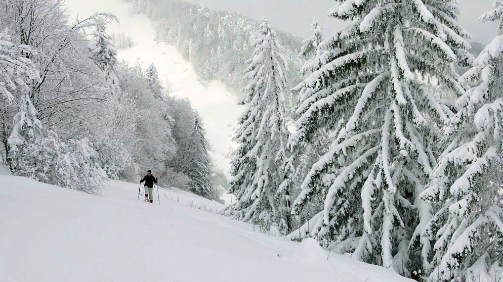A woman is snowshoeing through the snow covered landscape on the hilltop Wasserfallen near Reigoldswil, Canton of Basel,