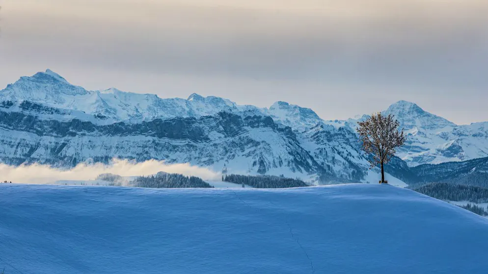 Wetter. Bund ruft höchste Lawinen-Gefahrenstufe in Teilen der Alpen aus