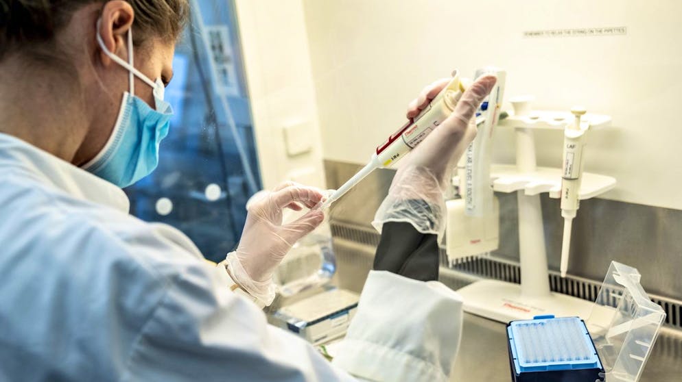 epa08938979 Researchers at Aalborg University are screening and analyzing all positive Danish coronavirus samples for the new English virus variant cluster B.1.1.7, that is more contagious and spreads easier and rapidly, in Aalborg, Denmark, 15 January 2021. EPA/HENNING BAGGER DENMARK OUT