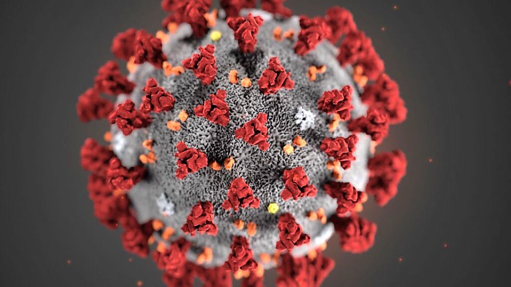 In einem Schulhaus in Näfels GL werden die gesamte Schüler- und Lehrerschaft auf das Coronavirus getestet.
