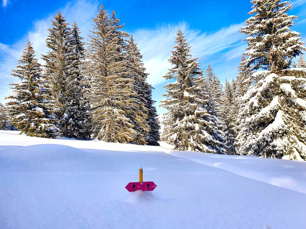 Landi Chablais-Lavaux - La neige pointe le bout de son nez sur les crêtes  des montagnes et vous n'avez pas forcément envie de peller la neige? Nous  avons l'outil qu'il vous faut !!!