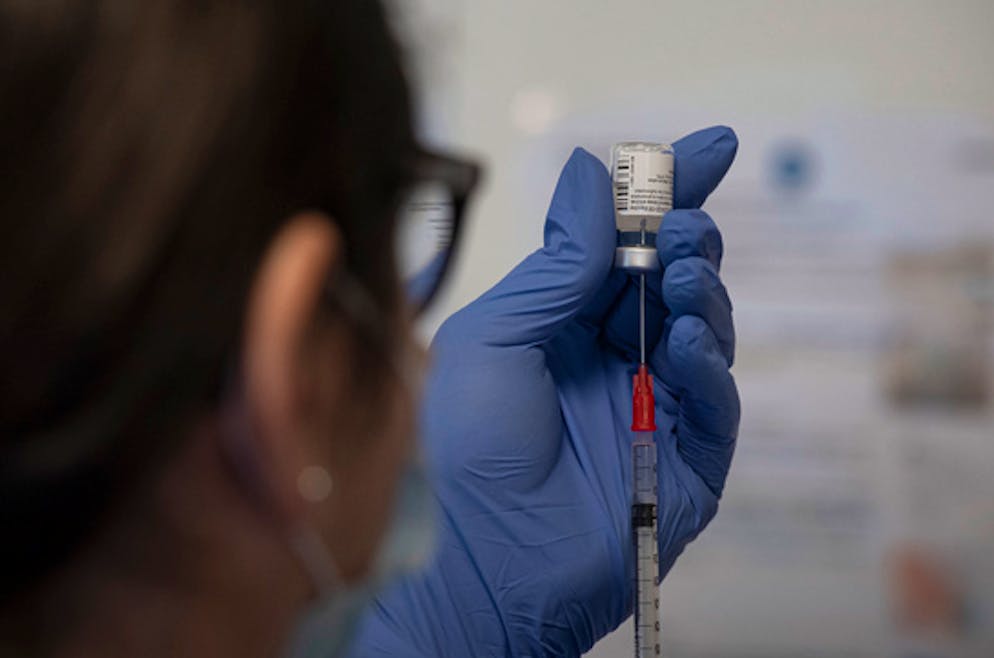 Immagine d'illustrazione.